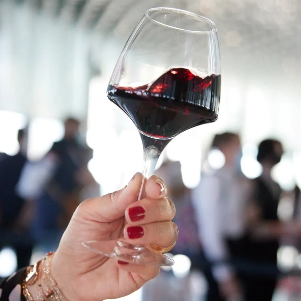 Verre à pied Pro Tasting 32 cl Open Up