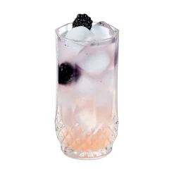 Verre haut 28 cl Longchamp